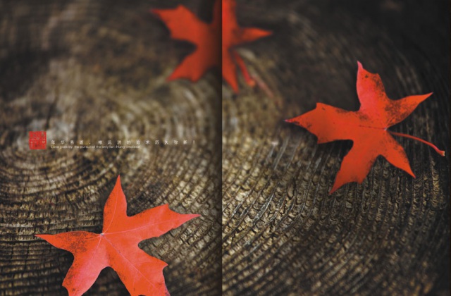 畫冊(cè)設(shè)計(jì)-遠(yuǎn)紅楓林畫冊(cè)設(shè)計(jì)
