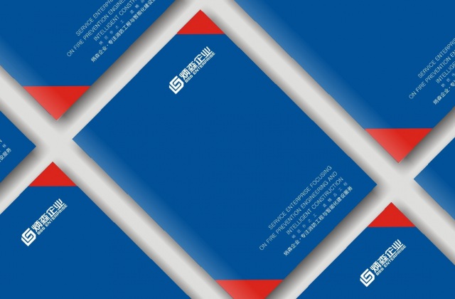 畫冊設(shè)計-炳森集團畫冊