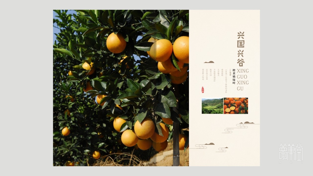 興國(guó)興谷